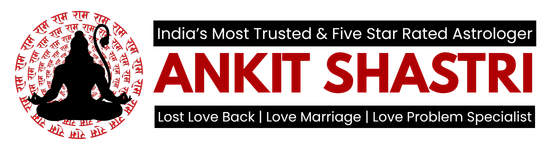 Astrologer Ankit Shastri Ji